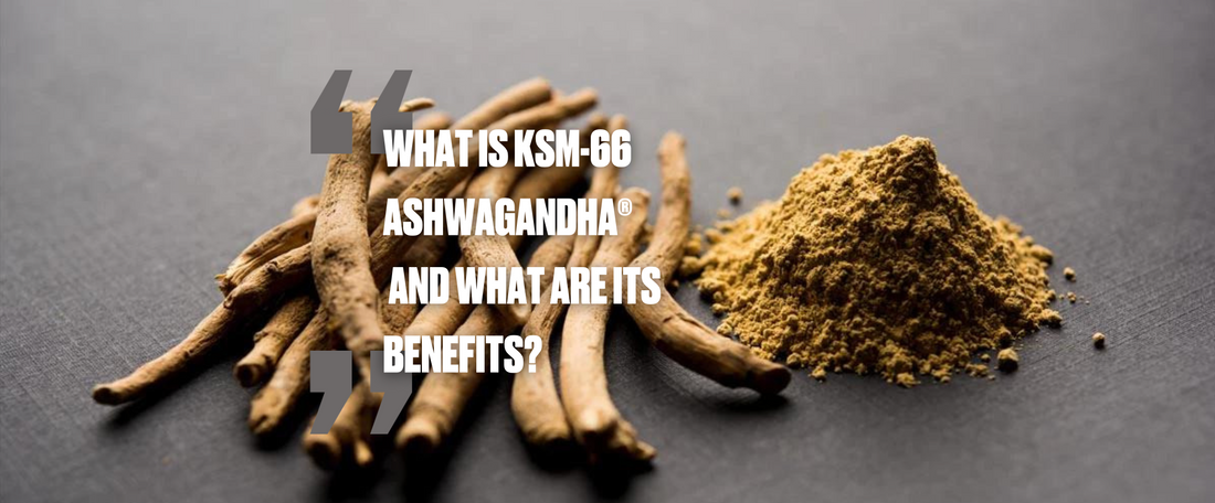 KSM-66 Ashwagandha®: A Natural Powerhouse for Health and Wellness